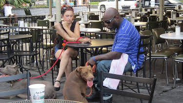 06:00: Pit Bulls & Parolees (S4 E10) (S4) | Animal Planet | 5/23 2026