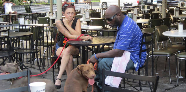 06:00: Pit Bulls & Parolees (S4 E10) (S4) | Animal Planet | 1/17 2026