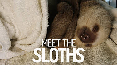 00:30: Meet The Sloths (S1 E1) (S1) | Animal Planet | 4/5 2026