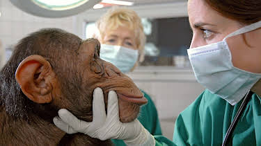 15:10: Tierärztin Dr. Mertens (11) | HR Fernsehen | 5/23 2026