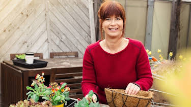 11:45: Querbeet ABC | ARD Alpha | 3/27 2026