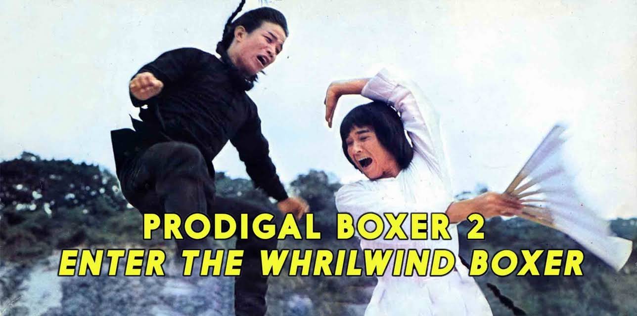 Prodigal Boxer 2: Enter The Whirlwind Boxer (2017)