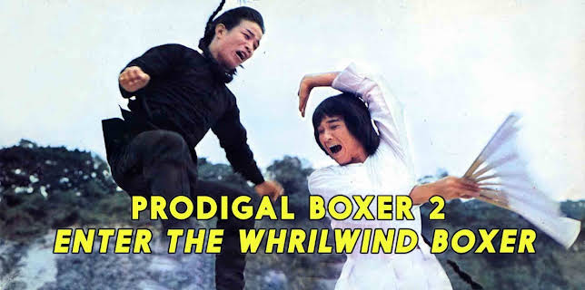 Prodigal Boxer 2: Enter The Whirlwind Boxer (2017)