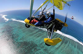 Season 2: Whaleshark