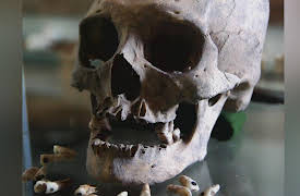 Secrets In The Jungle: Mystery Fossil of Madagascar