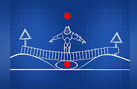 Bitz & Bob Season 1: Frog Log Bridge | Woolly Wonder Girl