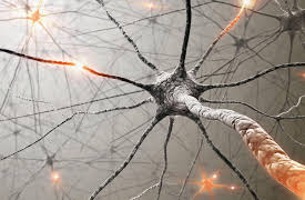 Understanding the Brain: Neurotransmitters