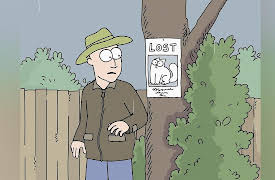 Simon's Cat, Vol. 4: Featuring Missing Cat: Simon's Cat, Vol. 4: Featuring Missing Cat