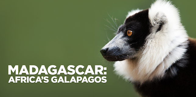 Madagascar: Africa’s Galapagos (2019)