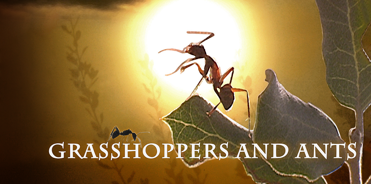 Grasshoppers and Ants (2018)