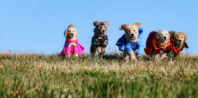 Super Buddies (2013)