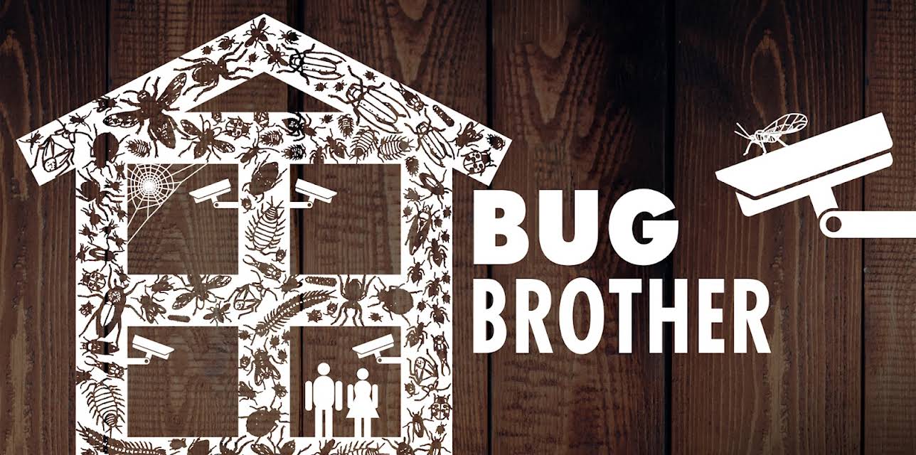 Bug Brother (2006)