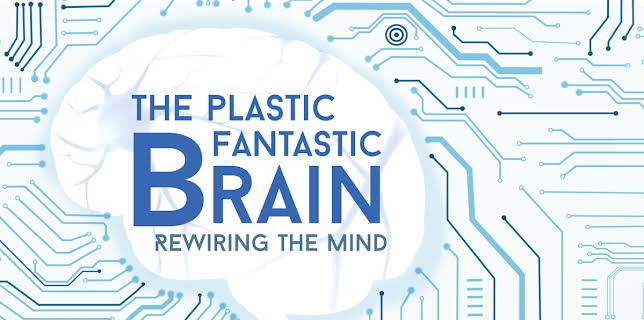 The Plastic Fantastic Brain (2019)