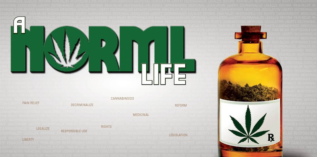 A NORML Life (2011)