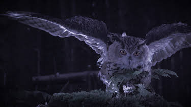 06:45: Deutschland bei Nacht | ZDFneo | 4/26 2026