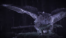 Deutschland bei Nacht