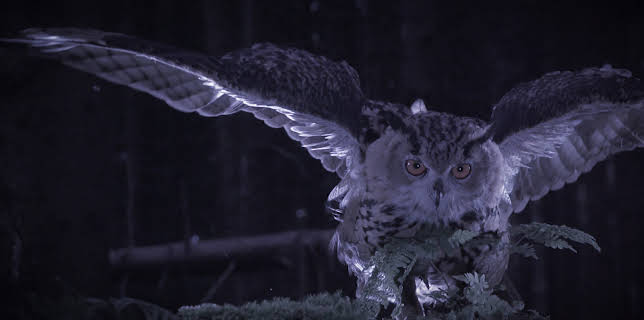 07:40: Deutschland bei Nacht | ZDFneo | 11/23 2025