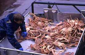 Deadliest Catch: Episode 8