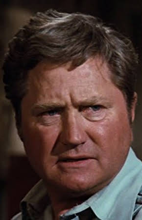 Barry Cahill as Bud
