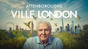 14:05: Attenboroughs ville London | NRK 2 | 4/4 2026