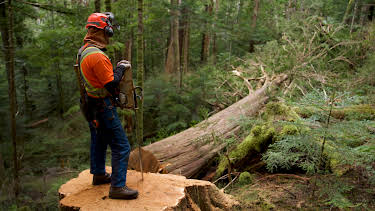 23:10: The Last Woodsmen (S1 E2) (S1) | Discovery Channel | 4/9 2026