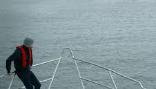 Unglaubliche Aufnahmen - Strange Evidence