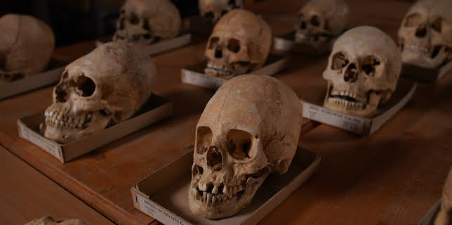 14:10: Aufgedeckt - Rätsel der Geschichte | ZDFinfo | 11/24 2025