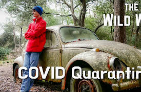The Wild Way: The Wild Way | Life in Quarantine
