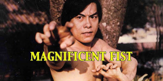 Magnificent Fist (1978)