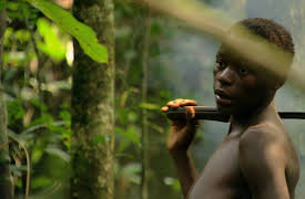 Wildest Africa: Congo: the Untamed Heart