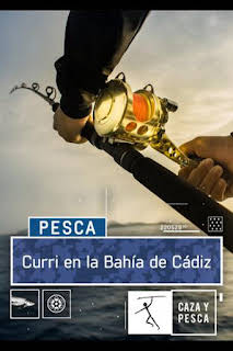19:40: Curri en la bahía de Cádiz | Caza y Pesca | 2/22 2026