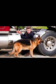 08:52: Hudson y Rex (T4): Ep.6 El puente del muerto | AXN | 3/29 2026