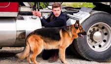 Hudson y Rex (T4): Ep.6 El puente del muerto