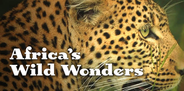 Africa's Wild Wonders