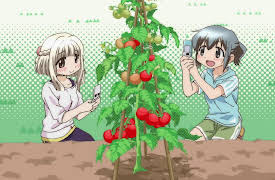 Season 3: July 12th: Three Stars x Lycopene Subtitled