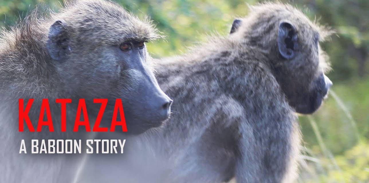 Kataza a Baboon Story (2022)