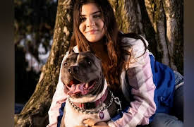 Give a Dog a Home Live!: Give a Dog a Home: Special