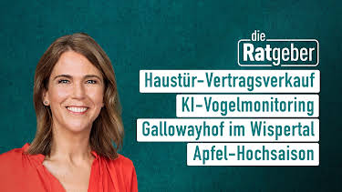 08:20: Die Ratgeber | HR Fernsehen | 10/19 2026