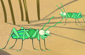 I'm a Creepy Crawly: Tigerbeetle