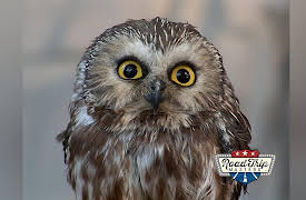 Road Trip Masters: Lake Placid. NY