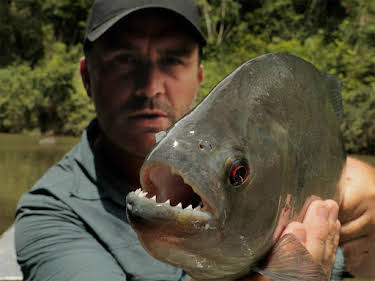 21:05: Chasing Monsters - Monsterfischen auf der Spur | Kabel Eins Doku | 6/26 2026