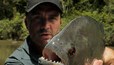 Chasing Monsters - Monsterfischen auf der Spur