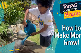 Yonas Works from Home!: How to Make Money Grow!