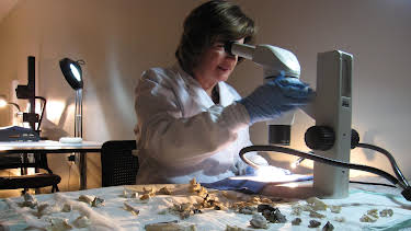 09:00: Extreme Forensics (S2 E16) (S2) | Investigation Discovery | 3/29 2026