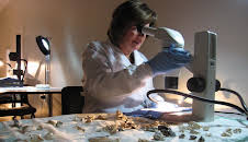 Extreme Forensics (S2 E16)