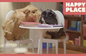 Happy Place: Lost and Found