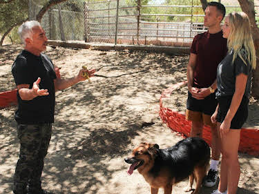 08:00: Cesar Millan: Better Human Better Dog - Bessere Menschen, bessere Hunde | Sixx | 4/26 2026