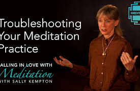 Falling in Love with Meditation: Troubleshooting Your Meditation Practice
