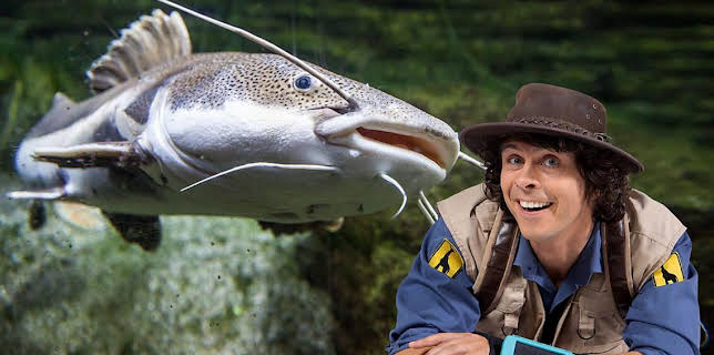 5:05 PM: Andy's Safari Adventures (S1) | Cbeebies | 2/26 2026