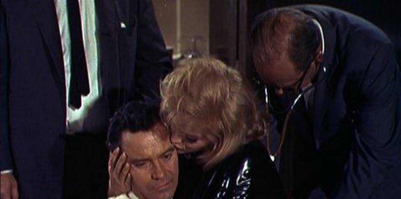 How to Murder Your Wife (1965)